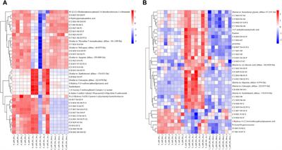 Protective signature of xanthohumol on cognitive function of APP/PS1 mice: a urine metabolomics approach by age